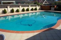 Freeform concrete pool with terracotta coping and a tiled surround