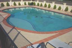 Freeform concrete pool with terracotta coping, seen from above